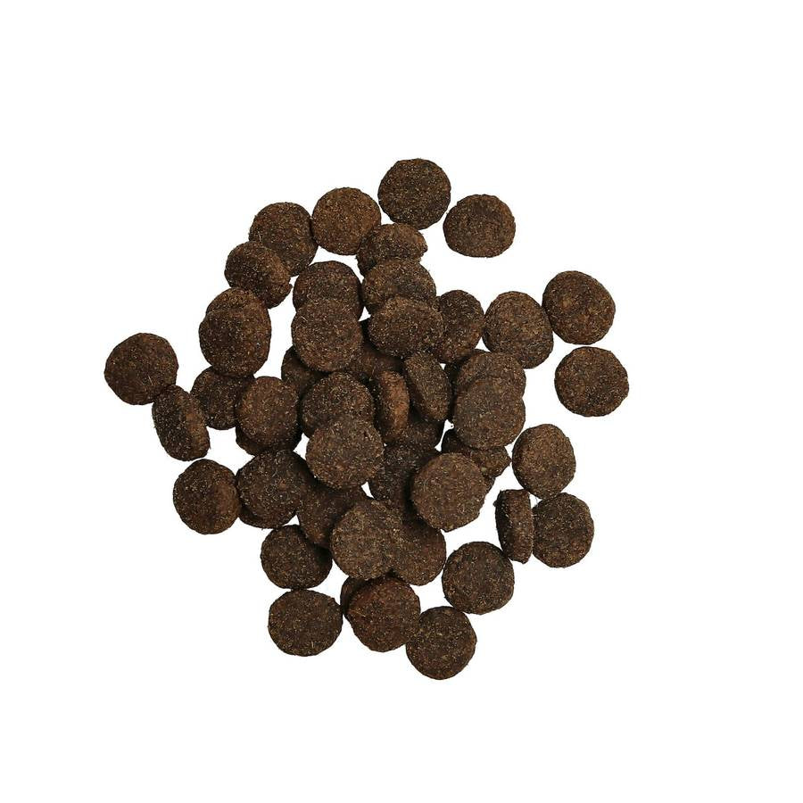 Harmony Adult Lamb 3kg