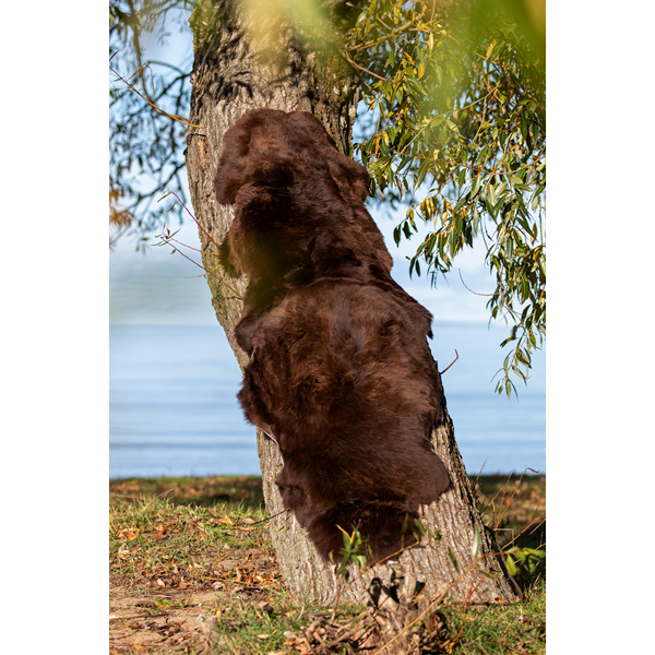 FÅRSKINN GENTLY BRUN 180X60CM. ROYAL CAMPING