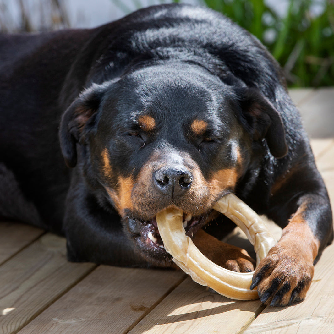 Hund – alla produkter